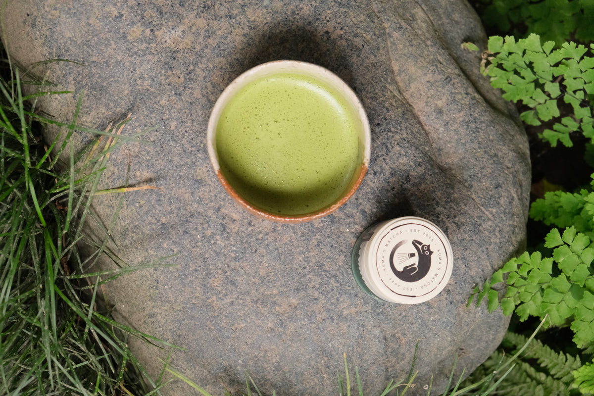 Okumidori Matcha
