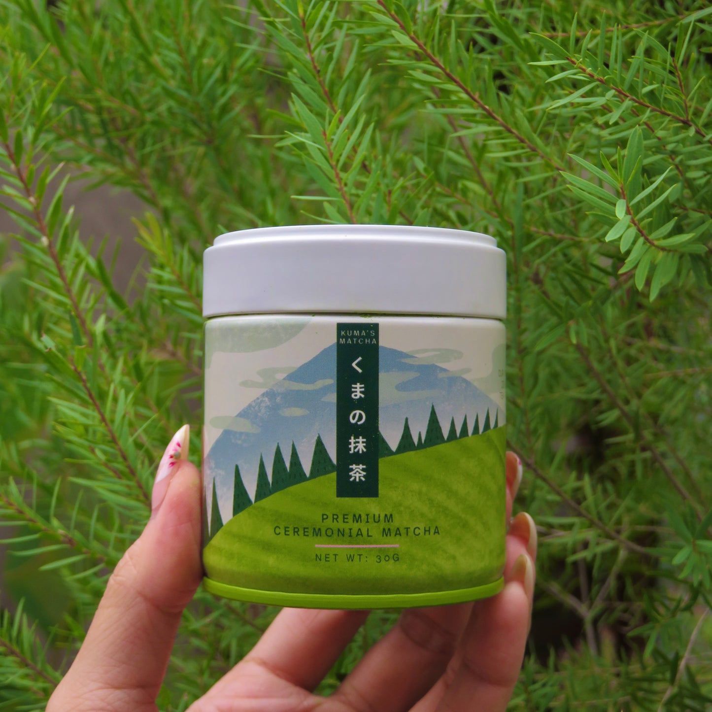 Kuma's Okumidori Matcha